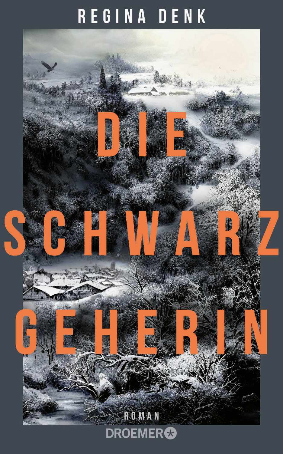 Die Schwarzgeherin von Regina Denk