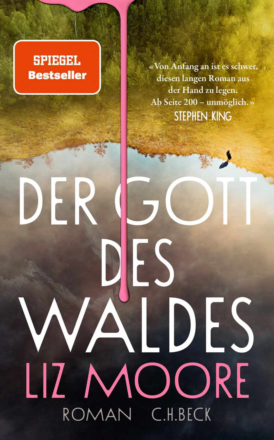 Der Gott des Waldes von Liz Moore