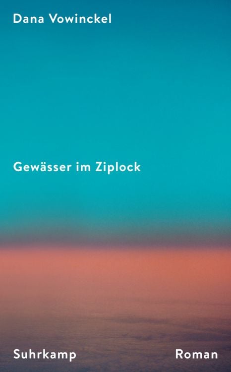 Buchcover &raquo;Gew&auml;sser im Ziplock&laquo; von Dana Vowinckel
